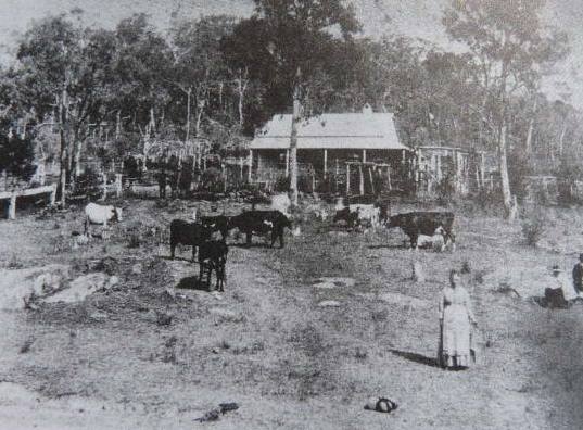 Lilburn cottage, 1893